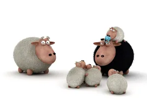 Sheeps 第二辑_15