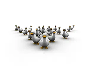 3Danimal 第二辑_9