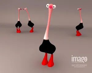 Imago 第一辑_2