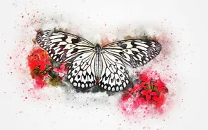 水彩画图片大全_9