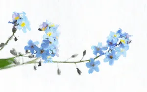 水彩画图片大全_11