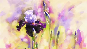 手绘花卉水彩画图片_3