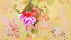 手绘花卉水彩画图片_5