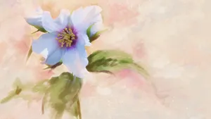 手绘花卉水彩画图片_6