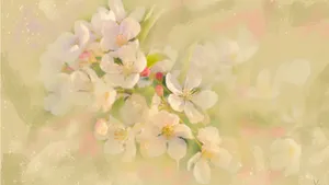 手绘花卉水彩画图片_7