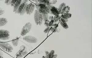 水墨画叶子图片_5