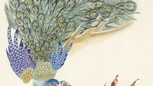 手绘国画鸟类图片_2