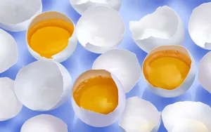 手绘食物图片素材壁纸_15