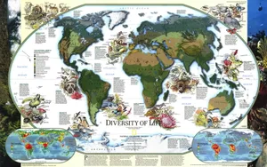 世界地图桌面壁纸_10