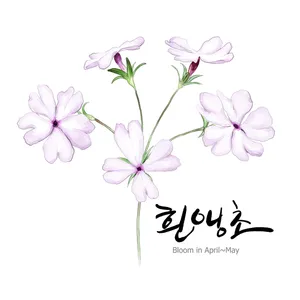 手绘花草 第二辑_2