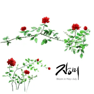 手绘花草 第二辑_10