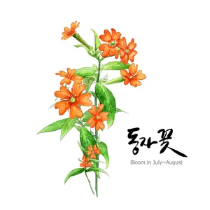 手绘花草 第二辑_11