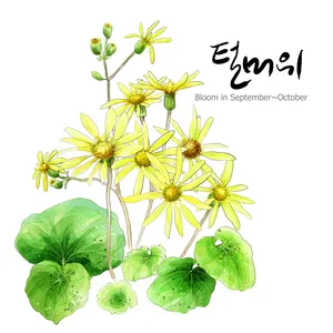 手绘花草 第二辑_12