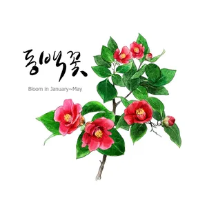 手绘花草 第二辑_14