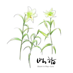 手绘花草 第一辑_3