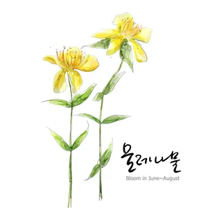 手绘花草 第一辑_4