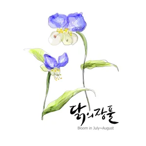手绘花草 第一辑_6
