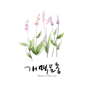 手绘花草 第一辑_7