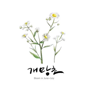 手绘花草 第一辑_8