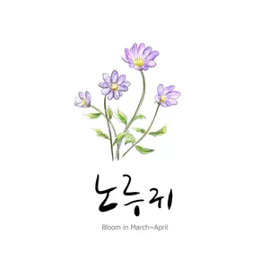 手绘花草 第一辑_11