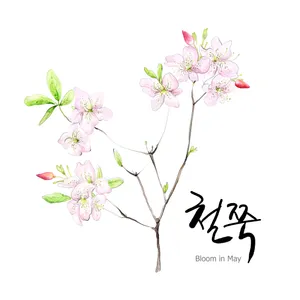 手绘花草 第一辑_12