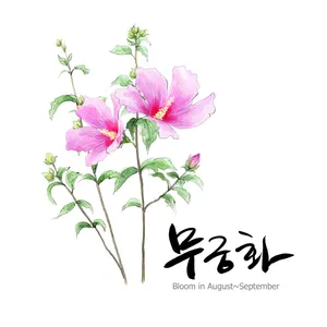 手绘花草 第一辑_18