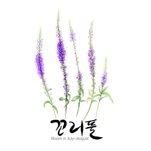 手绘花草 第一辑_19