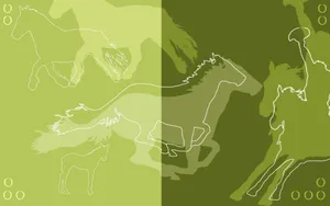 宽屏线描 第三辑_13