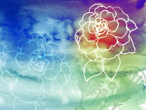 水墨花卉 第一辑_10