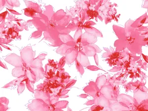 水墨花卉 第一辑_17