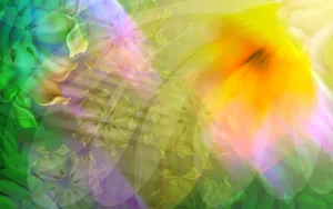 彩绘鲜花 第一辑_4