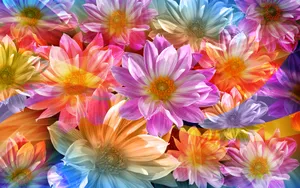彩绘鲜花 第一辑_19