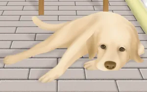 手绘小狗 第二辑_8