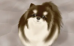 手绘小狗 第二辑_15