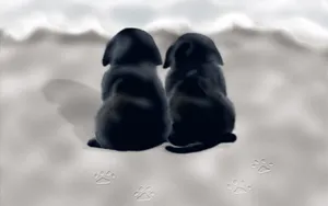 手绘小狗 第一辑_2