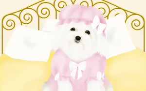 手绘小狗 第一辑_5