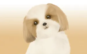 手绘小狗 第一辑_8