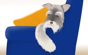 手绘小狗 第一辑_18