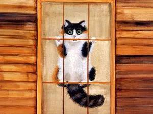 手绘猫咪 第三辑第1张