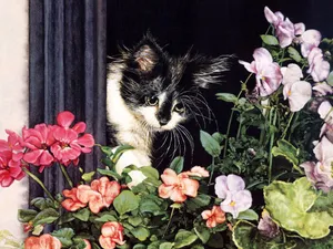 手绘猫咪 第三辑_8