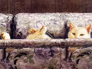 手绘猫咪 第三辑_11