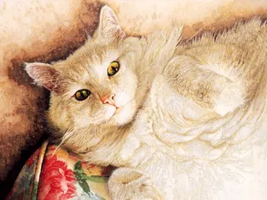 手绘猫咪 第三辑_12