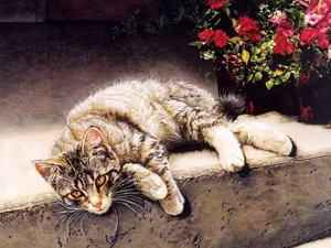 手绘猫咪 第三辑_13