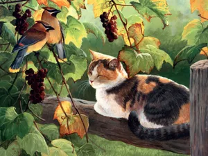手绘猫咪 第三辑_16