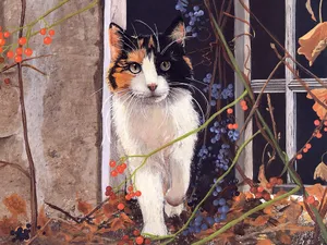 手绘猫咪 第二辑_2