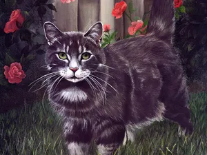 手绘猫咪 第二辑_3