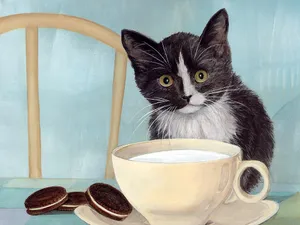 手绘猫咪 第二辑_4
