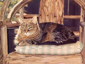 手绘猫咪 第二辑_6