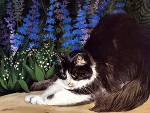 手绘猫咪 第二辑_7
