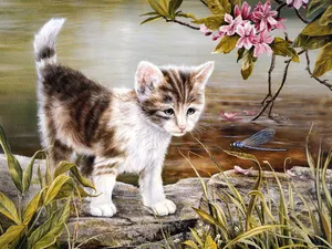 手绘猫咪 第二辑_10